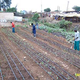Illustration for article titled Kiberas Instant Farm System Is the Future of Urban Agriculture